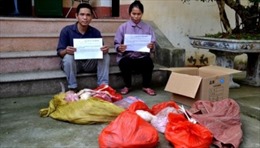 Liên tiếp bắt giữ gà và nội tạng lợn vượt biên vào Việt Nam 